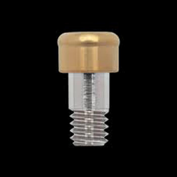 Locator Transepithelial Abutment (8909-2) 2225