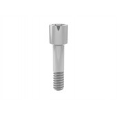 Core3D Abutment Screw; Astra Tech Implant System™ OsseoSpeed™ 3.0 (Yellow) (Compatible) 1906